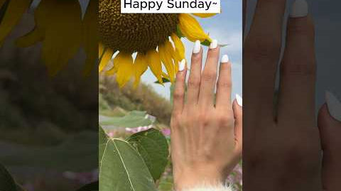Happy Sunday~😙🥰#ellievincynails#pressonnails #nailhackcheck #nailstutorials #pressonnailbusiness